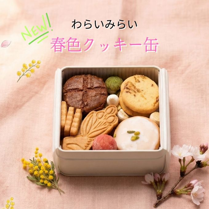 クッキー缶詰め合わせ 春 8種類入 母の日2026  2
