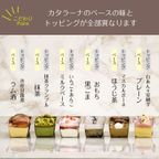 選べる プティラーナ 詰め合わせ6個セット カタラーナ プリン (和テイスト) 4