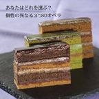 水引付きのおしゃれ箱 抹茶オペラチョコレートケーキ 15cm 4