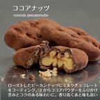 【送料無料、メール便】可愛いチョコレート缶入り ピーカンナッツチョコレート 2缶セット バレンタイン 2026 3