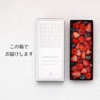フルーツ カタラーナ ベリーベリーカタラーナ 16cm 8