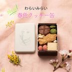 クッキー缶詰め合わせ 春 6種類入 2