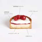 【ミニタルト2個セット】長野県産いちご・ラズベリーフロマージュ＜冷凍＞3号 9cm  6