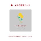 【特別価格】フレッシュりんごのグルテンフリーフルーツタルト◆グランプリ受賞◆長野県産りんご(カスタード)＜冷凍＞ 5号 15cm  2