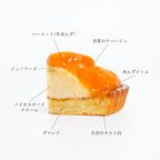 ◆グルテンフリーフルーツタルト◆長野県産ハーコット（あんず）＜冷凍＞ 5号 15cm  4