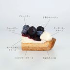 【期間限定 10％OFF】◆グルテンフリーフルーツタルト◆長野県産ブルーベリー＜冷凍＞ 5号 15cm  3