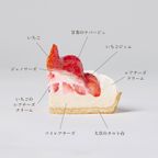 いちごたっぷりグルテンフリータルト 長野県産いちご(レアチーズ) 5号 15cm 4