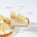 甘くとろける「ラ・フランス」のグルテンフリータルト 長野県産ラ・フランス(フロマージュブラン)＜冷凍＞ 5号 15cm 2