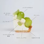 ◆グルテンフリーフルーツタルト◆長野県産シャインマスカット(フロマージュブラン)＜冷凍＞ 5号 15cm 4