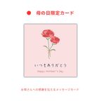 いちごたっぷりグルテンフリーフルーツタルト◆グランプリ受賞◆長野県産いちご(カスタード)＜冷凍＞ 5号 15cm   3