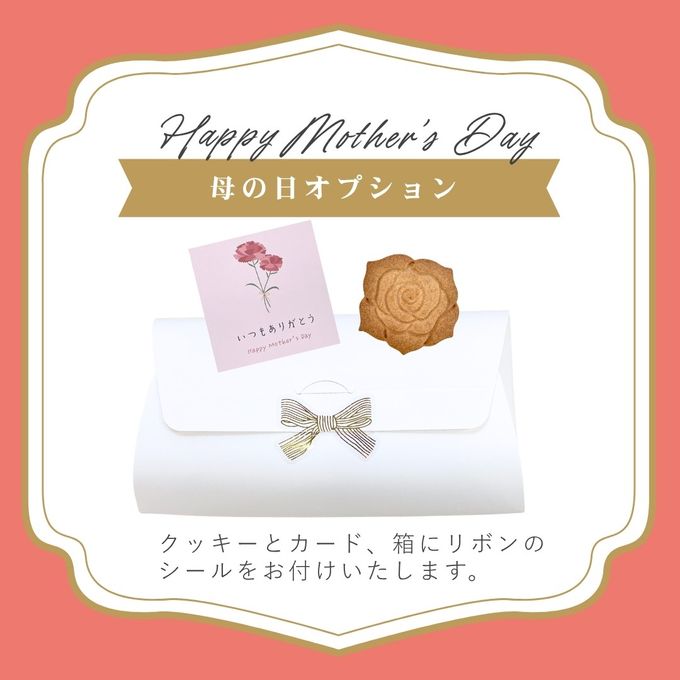 【母の日ギフト・ミニタルト2個セット】長野県産いちご・りんご ＜冷凍＞3号 9cm 母の日2026 2