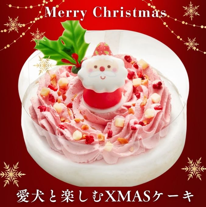 予約受付中 2025犬用 クリスマス コミフ 愛犬と楽しむXmasケーキ 犬用ケーキ クリスマスケーキ 2