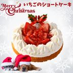 2024犬用 クリスマス 犬猫用苺のショートケーキ 犬用クリスマスケーキ 2