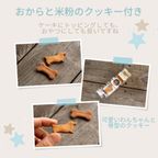 国産 無添加 手作り クッキーおまけ付き！ 犬用 バースデーケーキ 愛犬のお祝いケーキ マンゴー入り米粉ヨーグルトケーキ(グルテンフリー） 4