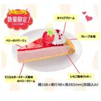 いちごのミルクレープ ペット用ケーキ 誕生日ケーキ 犬用バースデーケーキ 3