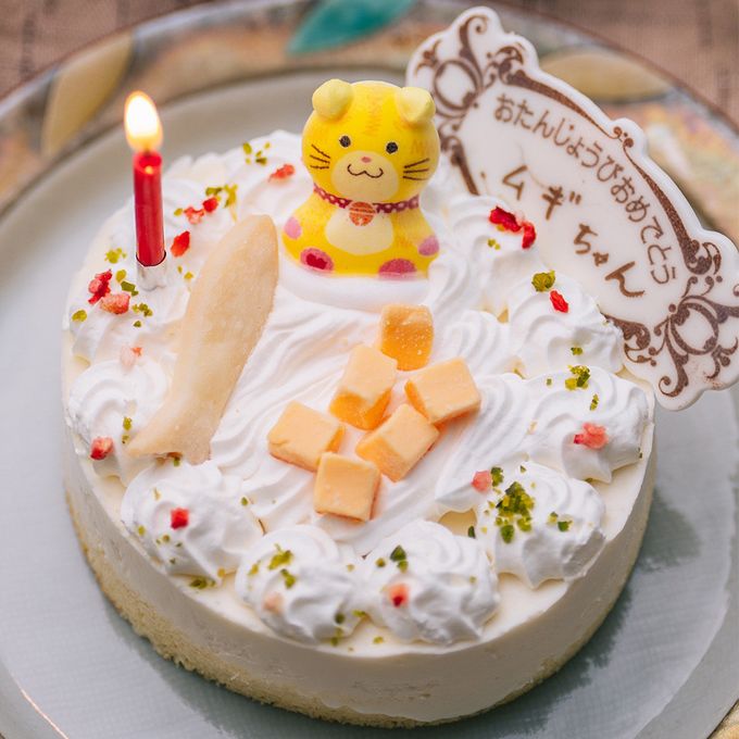 猫用 ネコ用 誕生日ケーキ チーズごろごろ 誕生日レアチーズケーキ 名前が書けるプレート付き ペットケーキ バースデー cat cake 1