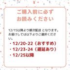 2024犬用 クリスマス 犬猫用 ブッシュドノエル 犬用クリスマスケーキ 5