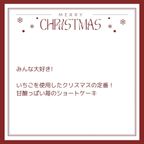 2024犬用 クリスマス 犬猫用苺のショートケーキ 犬用クリスマスケーキ 5