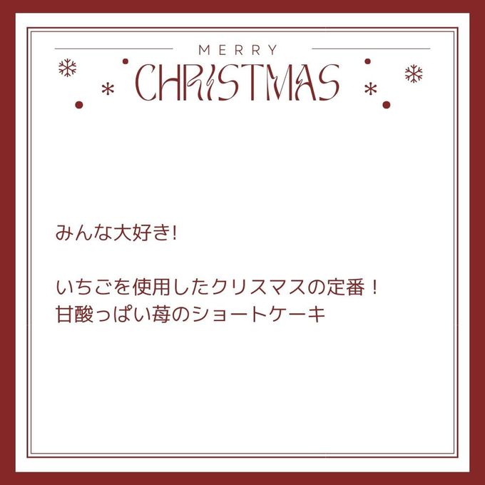 2024犬用 クリスマス 犬猫用苺のショートケーキ 犬用クリスマスケーキ 5