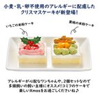 予約受付中 2025犬用 クリスマス コミフ 小麦・乳・卵不使用 やさしいスイーツ Xmasケーキセット 犬用ケーキ クリスマスケーキ 3