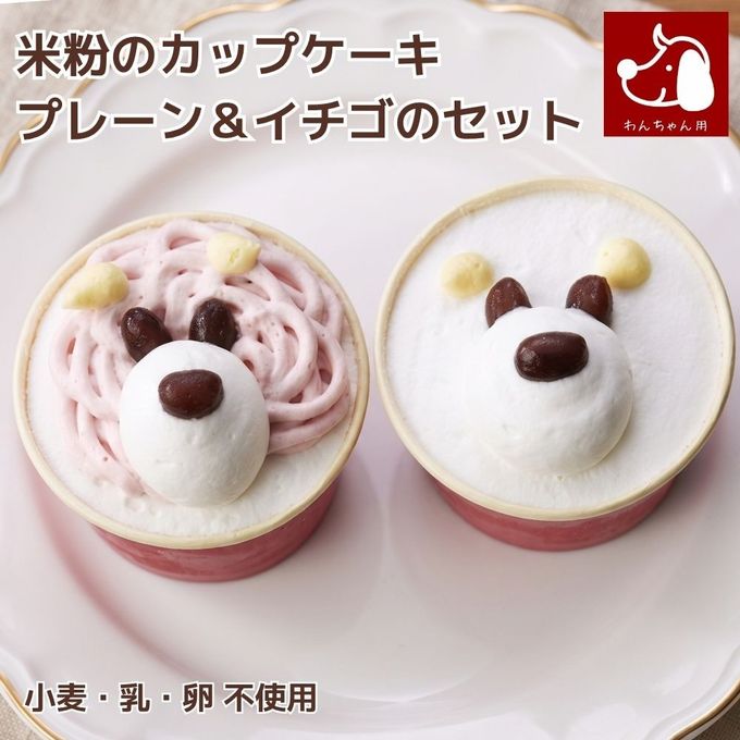 やさしいスイーツ 豆乳プレーン＆豆乳イチゴセット 小麦 乳 卵 不使用 アレルギー対応 ペットケーキ 1