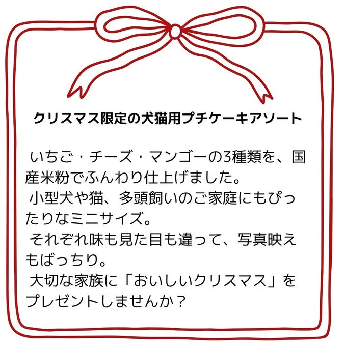 予約受付中 2025犬用 猫用 クリスマス 犬猫用プチケーキアソート 犬猫用ケーキ クリスマスケーキ 4