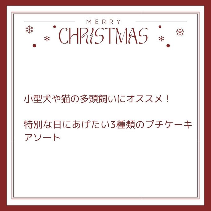 2024犬用 クリスマス 犬猫用プチケーキアソート 3個セット 犬用クリスマスケーキ 4