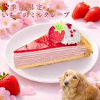 いちごのミルクレープ ペット用ケーキ 誕生日ケーキ 犬用バースデーケーキ 2