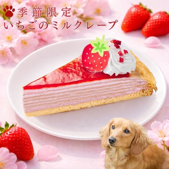 いちごのミルクレープ ペット用ケーキ 誕生日ケーキ 犬用バースデーケーキ 2