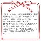 予約受付中 2025犬用 猫用 クリスマス コミフ Cat＆Dogのチーズケーキ風 犬猫用ケーキ クリスマスケーキ 4