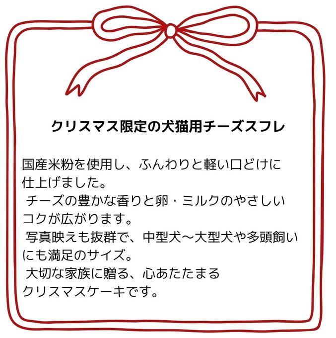 予約受付中 2025犬用 猫用 クリスマス犬猫用チーズスフレ 犬猫用ケーキ クリスマスケーキ 4