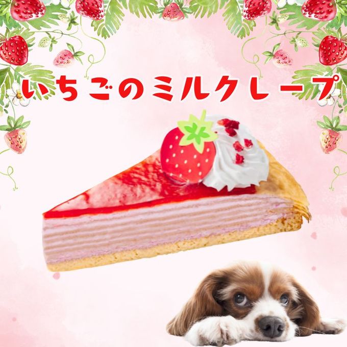 期間限定！コミフ いちごのミルクレープ ペット用ケーキ 誕生日ケーキ 犬用バースデーケーキ 2