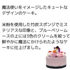 ハロウィン2025 犬用 猫用 ハロウィン ベリームースケーキ  4