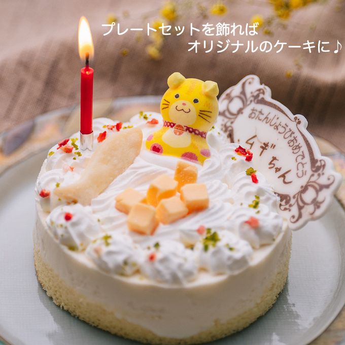 猫用 ネコ用 誕生日ケーキ チーズごろごろ 誕生日レアチーズケーキ 名前が書けるプレート付き ペットケーキ バースデー cat cake 2