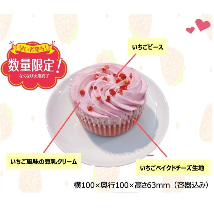 フラワーいちごのチーズケーキ PABLO コラボ 誕生日ケーキ 犬用バースデーケーキ 3