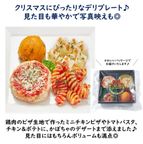 犬用 クリスマス ケーキ＆ごちそう 2点セット 愛犬と楽しむXmasケーキとXmasデリプレートのセット 6