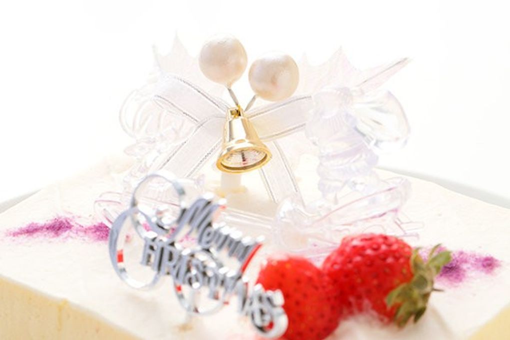 ご予約受付中 クリスマス 低糖質 レアチーズケーキ 4.5号 クリスマスケーキ 5