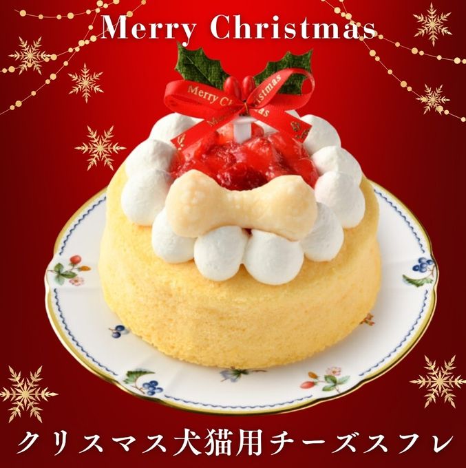 予約受付中 2025犬用 猫用 クリスマス犬猫用チーズスフレ 犬猫用ケーキ クリスマスケーキ 2