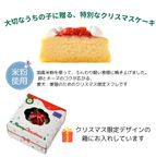 予約受付中 2025犬用 猫用 クリスマス犬猫用チーズスフレ 犬猫用ケーキ クリスマスケーキ 3