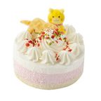 猫用 ネコ用 cat cake プレートキャンドル付き！ 誕生日ケーキ ペットケーキ バースデーケーキ 2