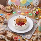 いちごのバースデーケーキ ペットケーキ 誕生日ケーキ バースデーケーキ 犬用  2