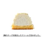 【犬猫用】2種の贅沢チーズが香りとろける！ ご褒美モンブラン 2種のチーズ味 バースデーケーキ 誕生日ケーキ 5