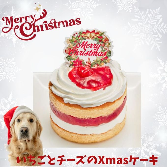 2024犬用 クリスマス コミフ いちごとチーズのXmasケーキ 犬用ケーキ クリスマスケーキ 2