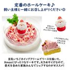 犬用 クリスマス ケーキ＆ごちそう 2点セット 愛犬と楽しむXmasケーキとXmasデリプレートのセット 4