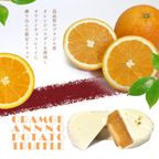 【限定販売】安納芋トリュフ「オレンジ」チョコレート15個入  お中元2025 3