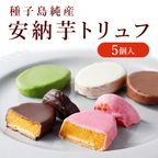 安納芋トリュフチョコレート5個入（アソート）  お中元2025 1
