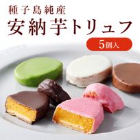 安納芋トリュフチョコレート5個入（アソート）  お中元2025