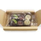 種子島粗糖の 和カヌレ日本茶 三種セット（6個入）【プレーン・抹茶・ほうじ茶】  5