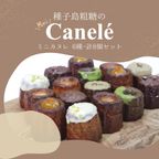 種子島粗糖の 一口ミニカヌレ6種セット（8個入） 内祝 結婚 ギフト スイーツ 御祝 御礼 出産 誕生日  3