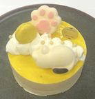 ねむねむネコと南国マンゴーのひんやりチーズケーキ（５号サイズ）幅15cm 1